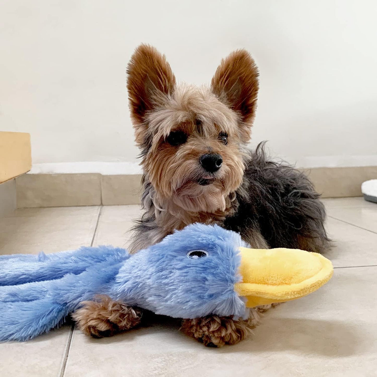 Dog Toy for Small, Medium, and Large Breeds, Cute No Stuffing Duck with Soft Squeaker, Fun for Indoor Puppies and Senior Pups, Plush No Mess Chew and Play - Yellow